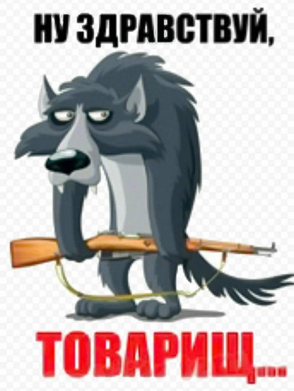 шо опять волк