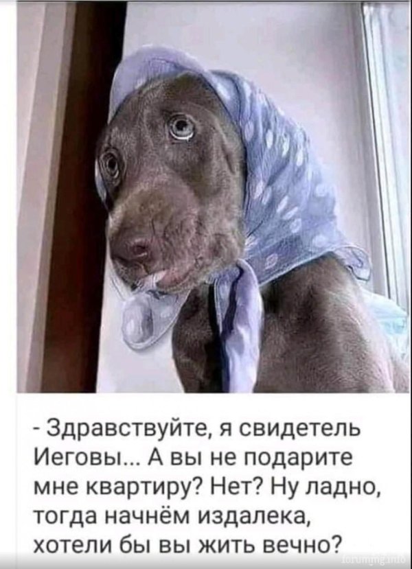 я свидетель иеговы