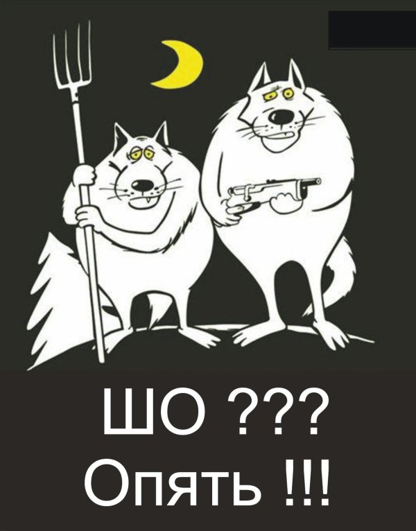 здравствуйте товарищи