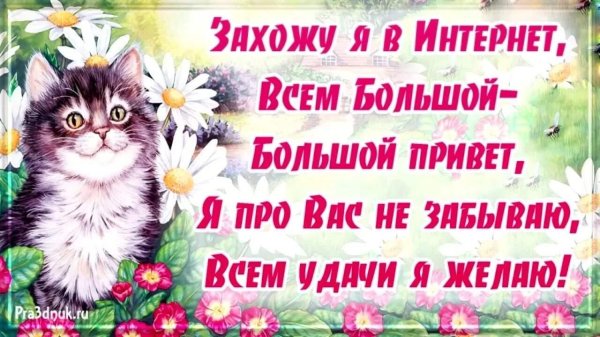 Здравствуйте