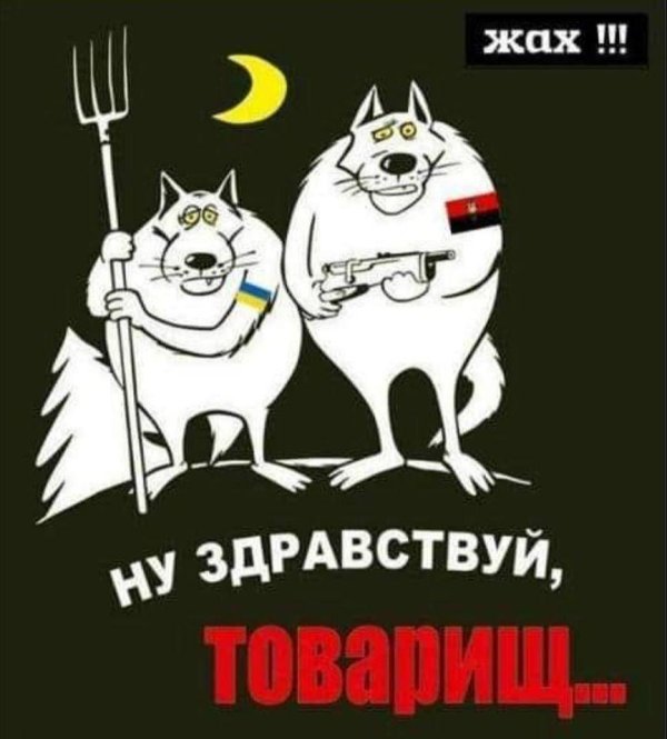 здравствуйте товарищи