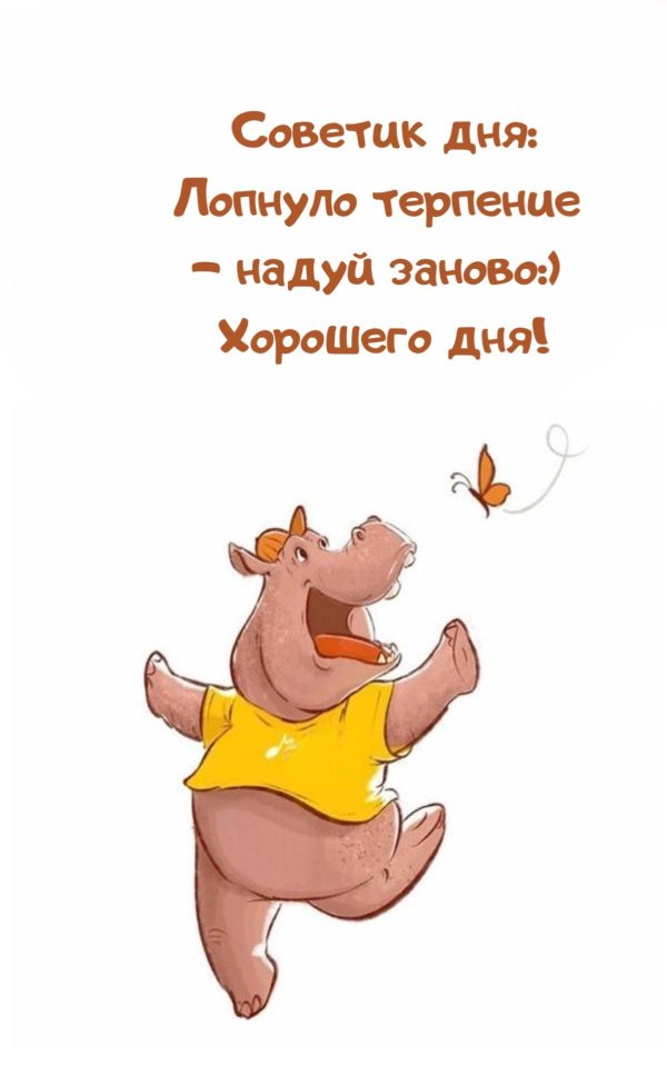 день бегемота