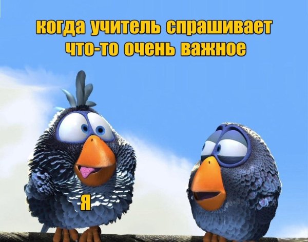 чокнутая птичка