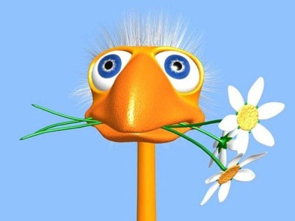 прикольное поздравление