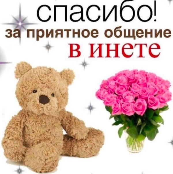 плюшевые медведи