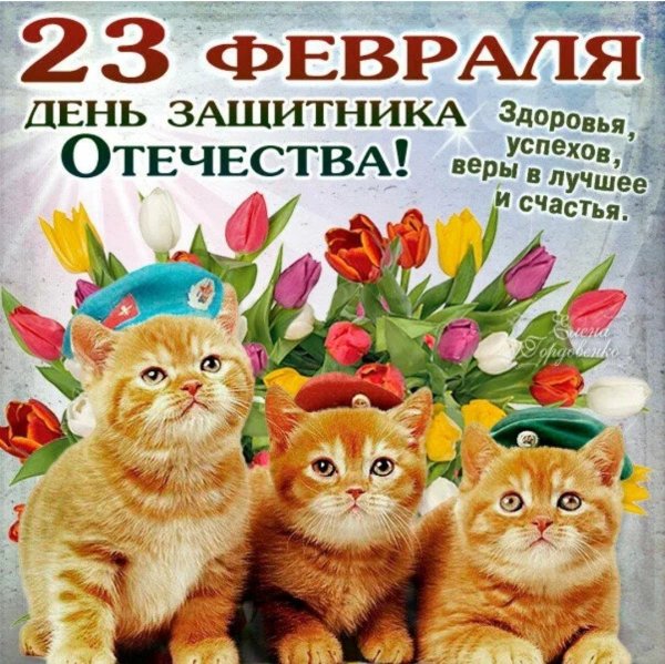 с днем защитницы отечества