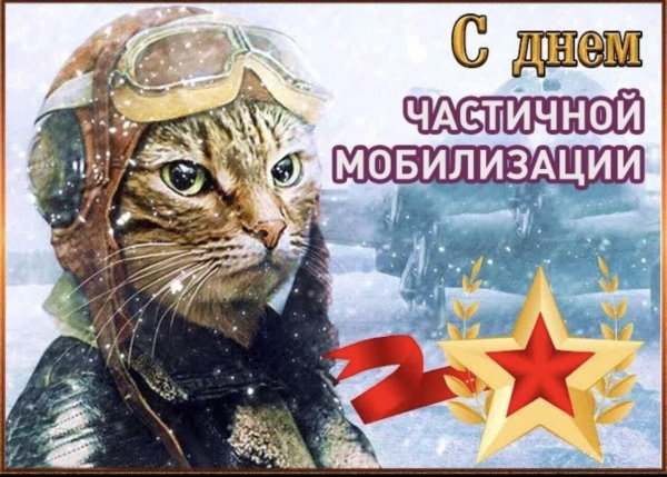 23 января праздники