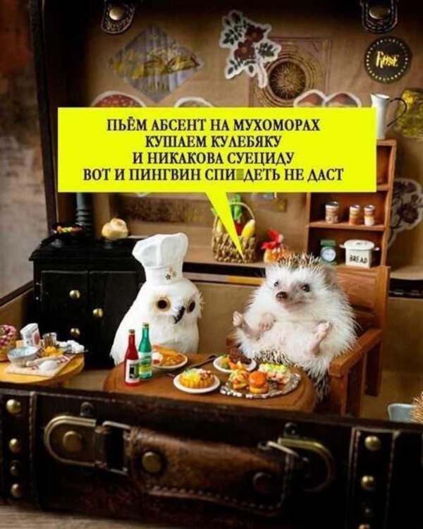 ежик пьет чай