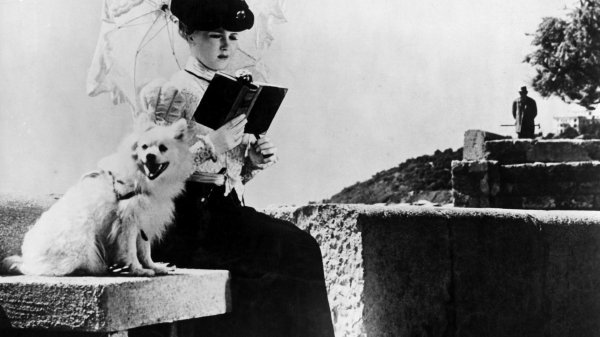 книга дама с собачкой