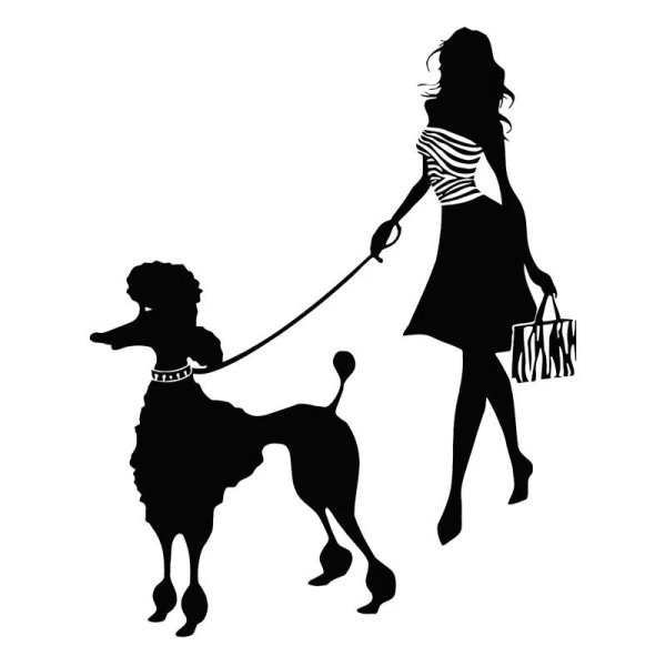 наклейки на стены с пуделями