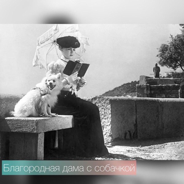 ия саввина дама с собачкой