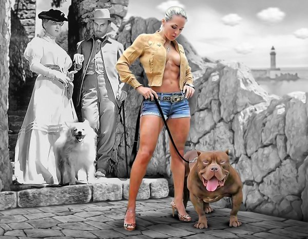 дама с собачками