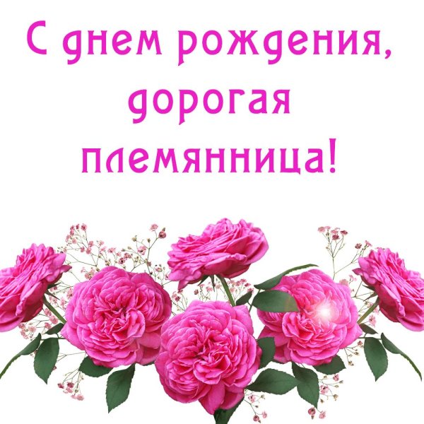 день рождения племянницы поздравления от тети открытки