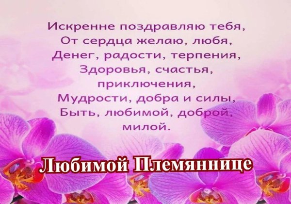 поздравление с днём рождения племяннице от тёти душевные в стихах красивые
