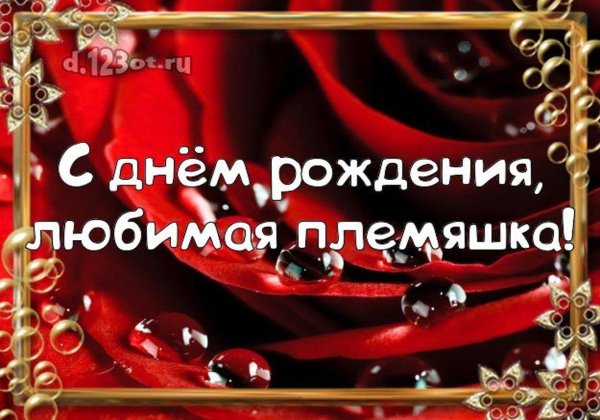 с день рождения племянница