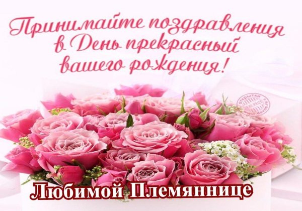 поздравление на день рождения племяннице