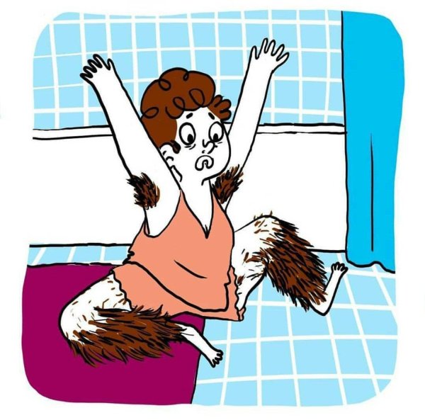 персидская кошка