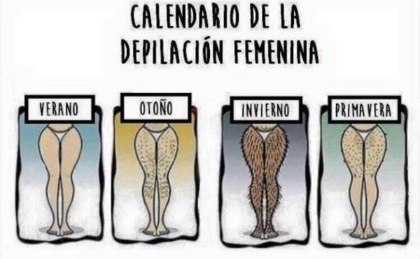 юмор женский