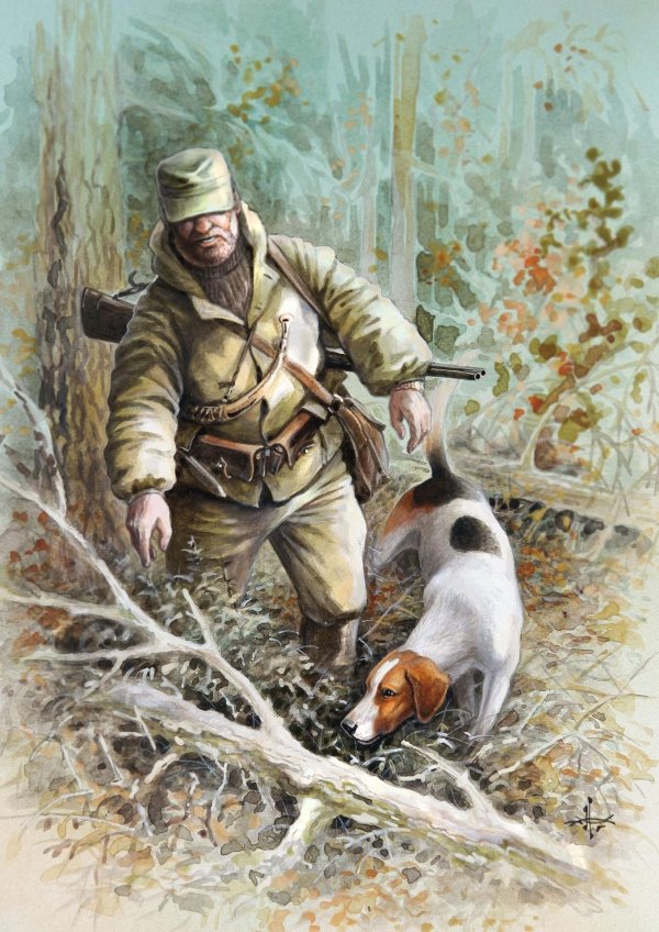 иллюстратор александр дегтев