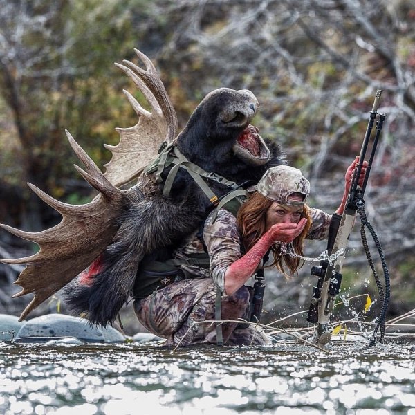 ребекка фрэнсис охотница