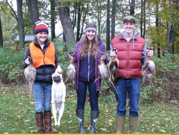 охотничьи демотиваторы