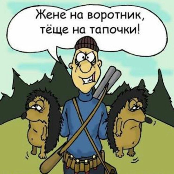 ежики смешные