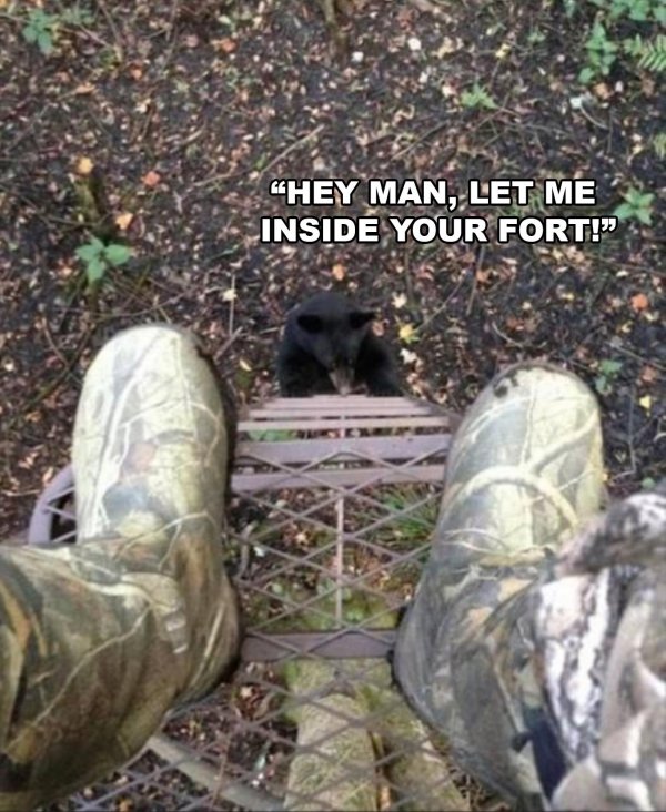 чëрный медведь