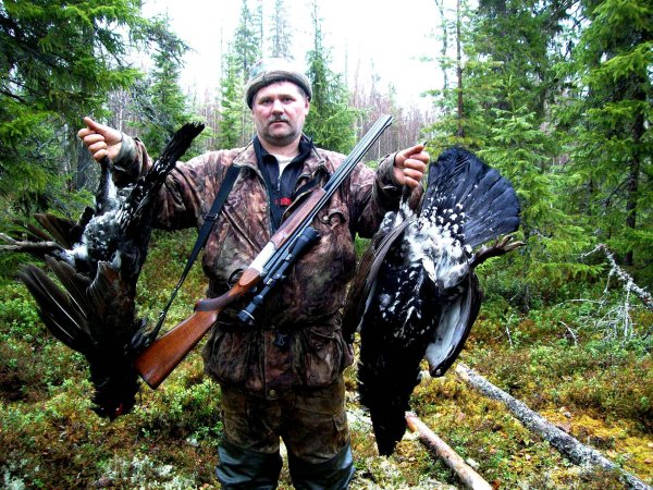 иж27 боровая дичь глухарь