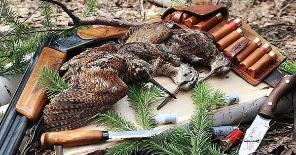 вальдшнеп дичь
