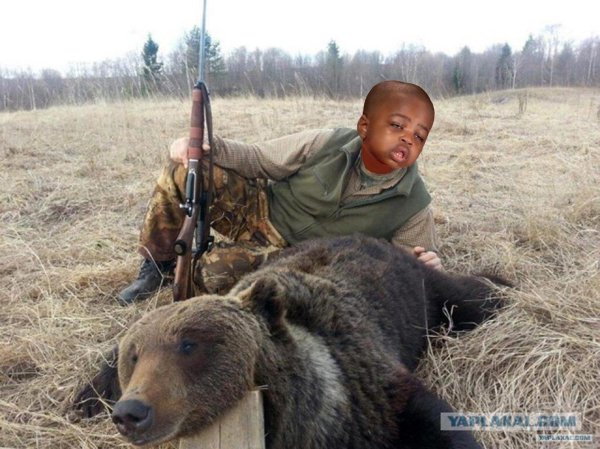 медведь гризли людоед