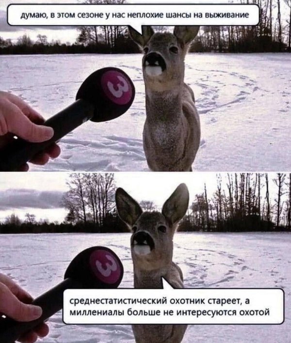интервью у оленя