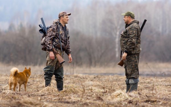 два охотника