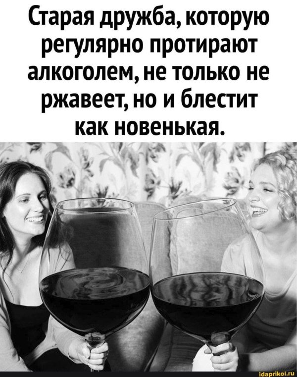 подруги выпивают