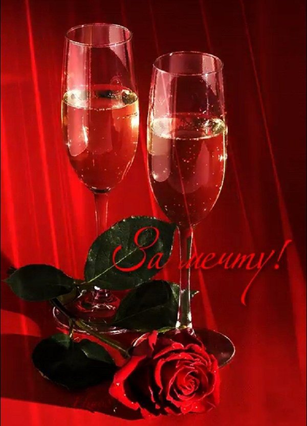 цветы шампанское