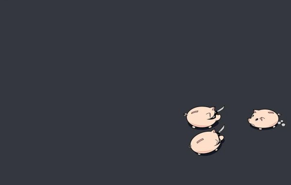 милые поросята