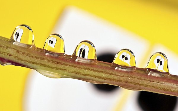 веселая настроение