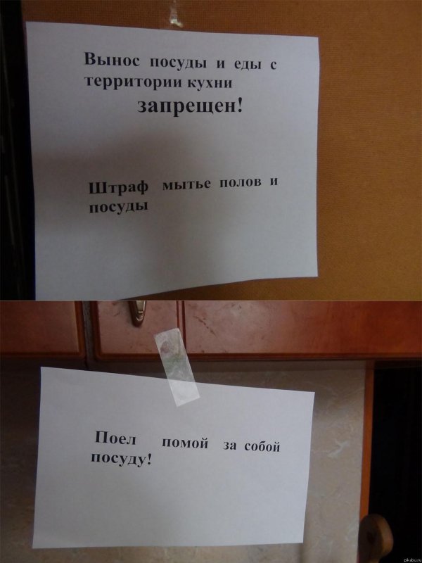 Помой за собой посуду