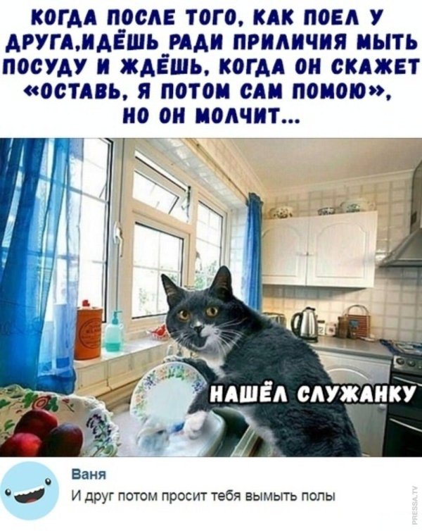 никакой помощи в этом доме