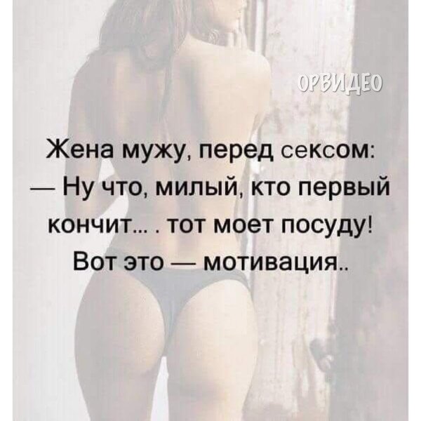 смешные цитаты