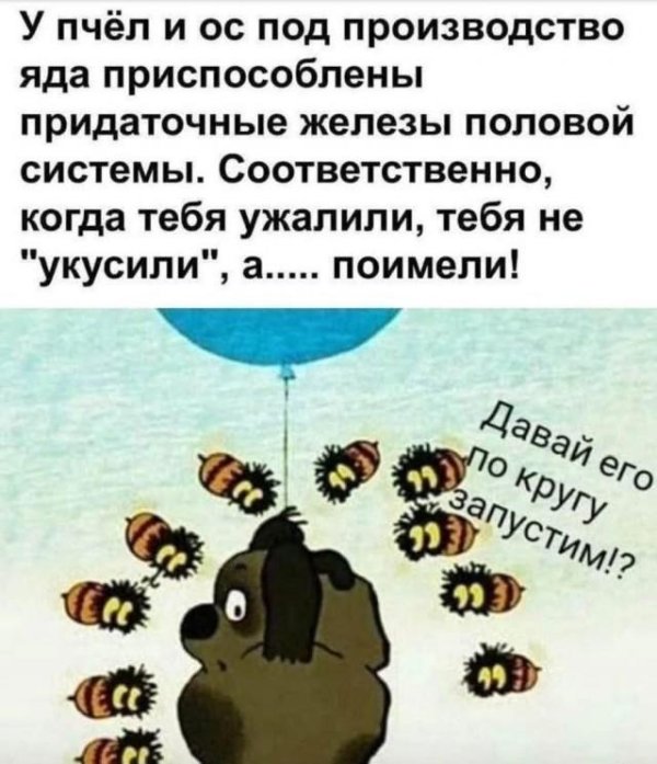 пчела из винни пуха