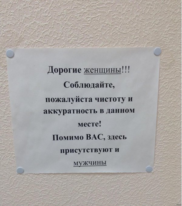 объявление в женский туалет о соблюдении чистоты
