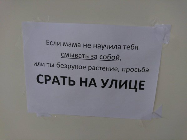 надписи в туалет