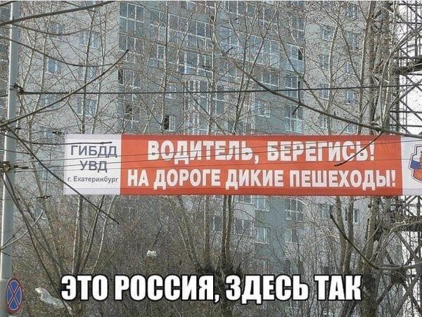 дорога пешеход