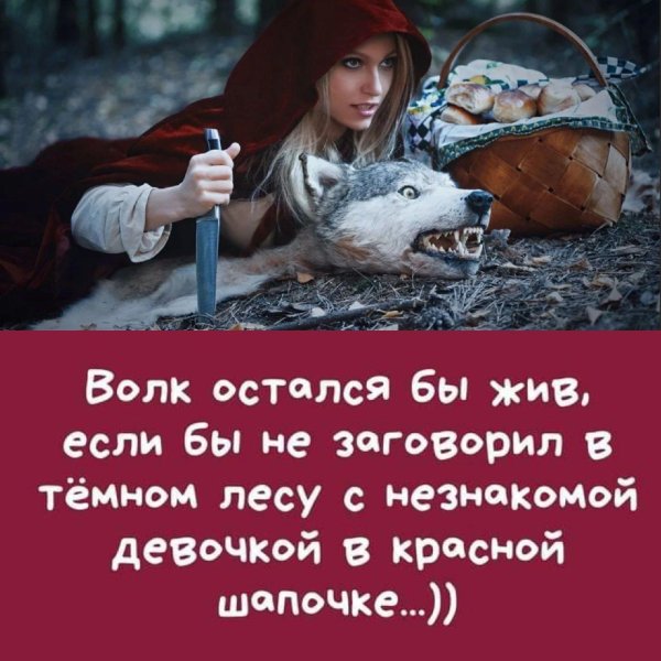 а ведь волк остался бы в живых