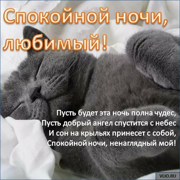 Спокойной ночи любимому мужу