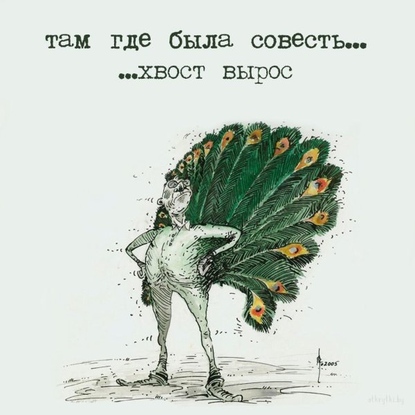 павлин рисунки