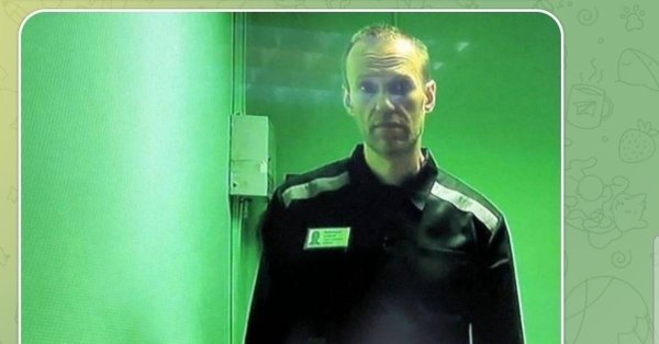 алексей навальный 2022