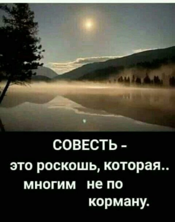 совесть это роскошь