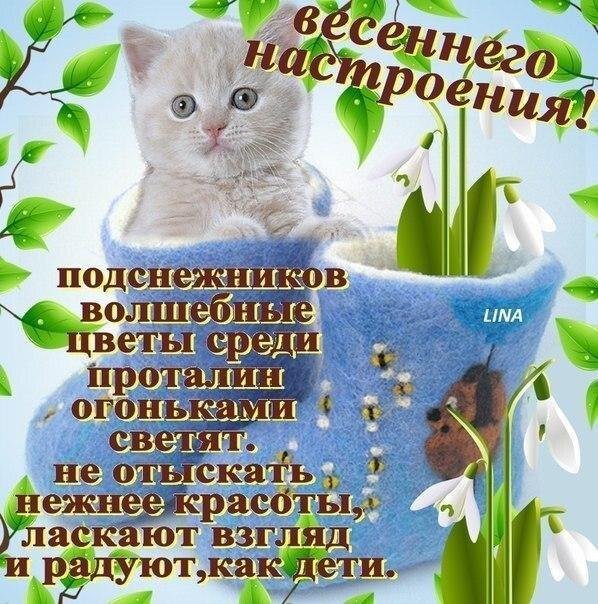 С первым днем весны
