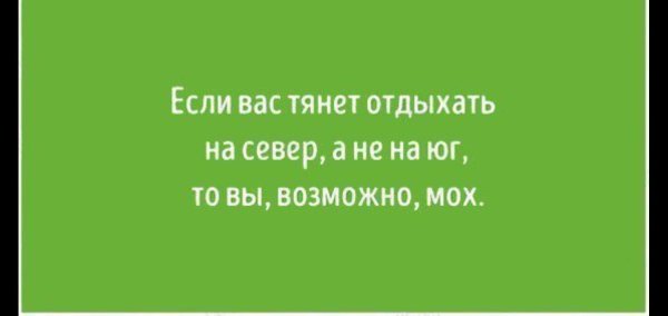 Про любовь и отношения со смыслом с сарказмом
